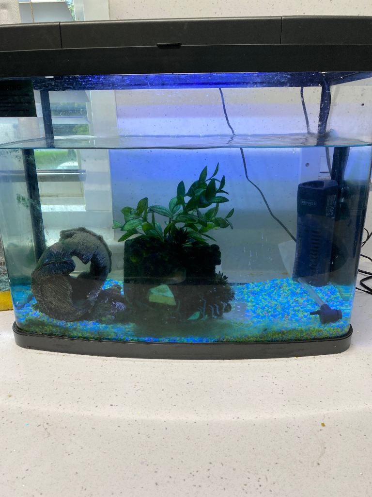 fish tank 