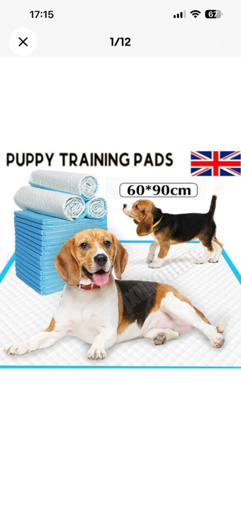 Dog Training Pads 60*90cm/100 Pack(5*20)/Puppy Pee Pads