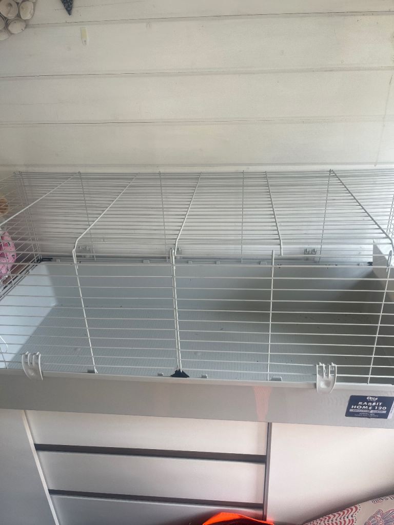 Guinea Pig cage 