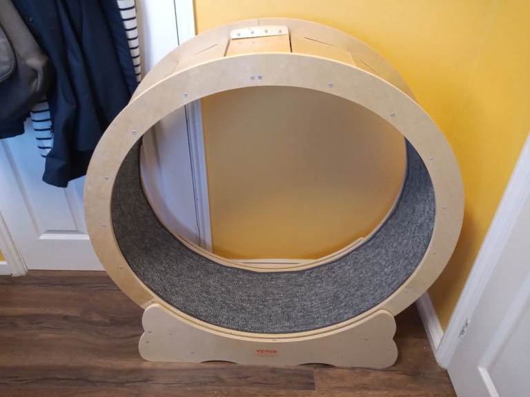 Cat Exercise Wheel