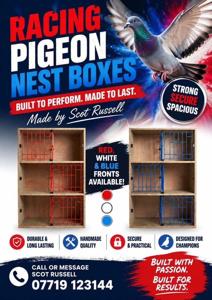 PIGEON NEST BOXES