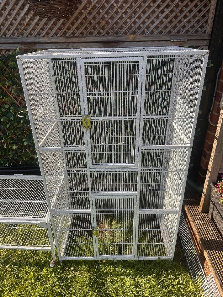White bird cage 
