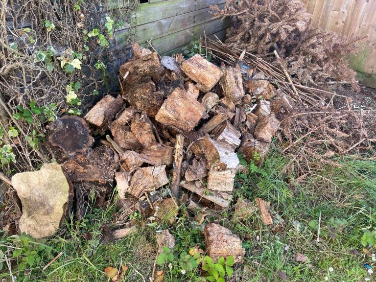 Free logs 