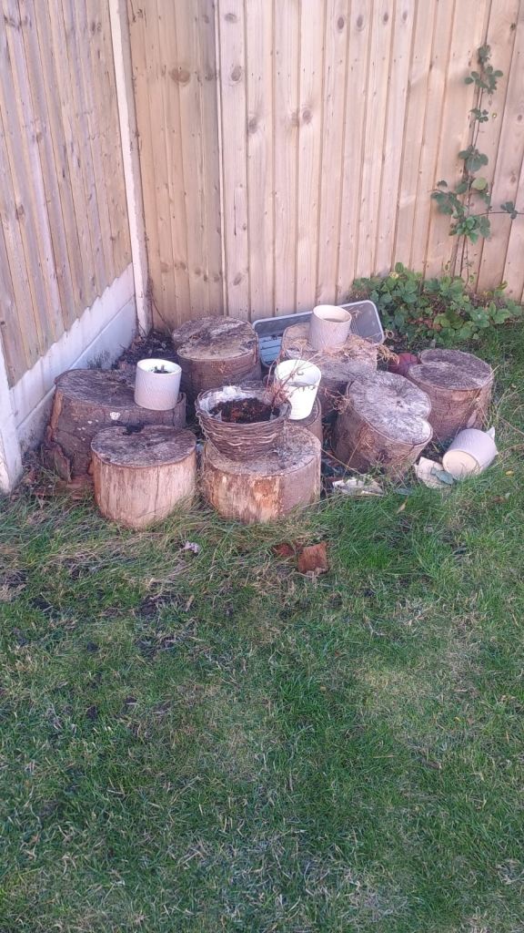 Wooden log for pick up