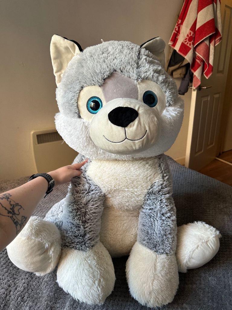Husky Soft Toy
