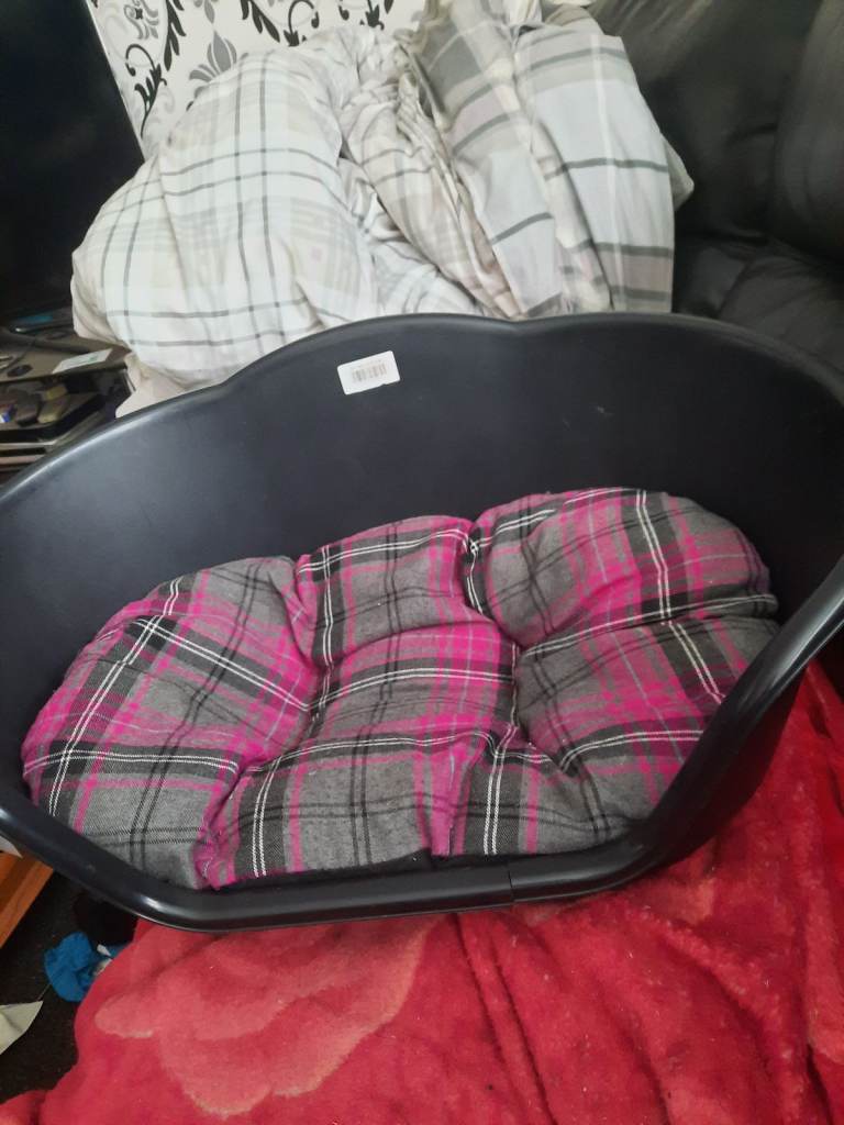 Dog bed