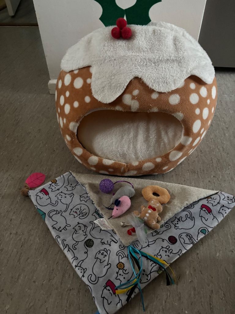 Cat bed and toys
