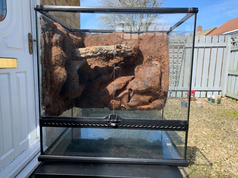 2 x Exo Terra Terrariums +  Accessories – £250 ONO