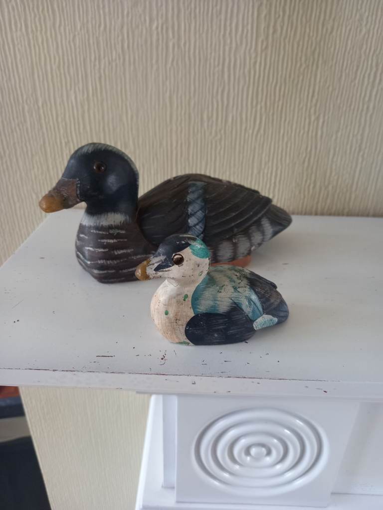 Stone ducks 