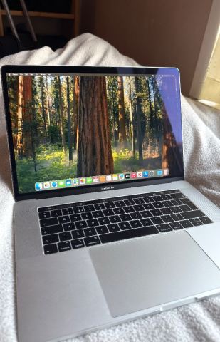 Apple MacBook Pro 15” (2018) | i7 6-Core | 16GB | 256GB | Radeon