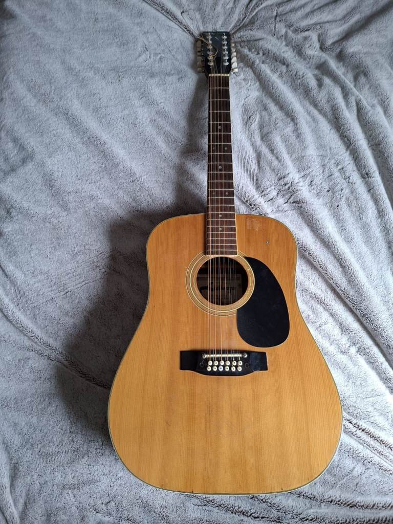 Lorenzo 12 string guitar with new, still uncut strings. Needs 1 new tuner