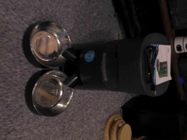 AUTO PET FEEDER