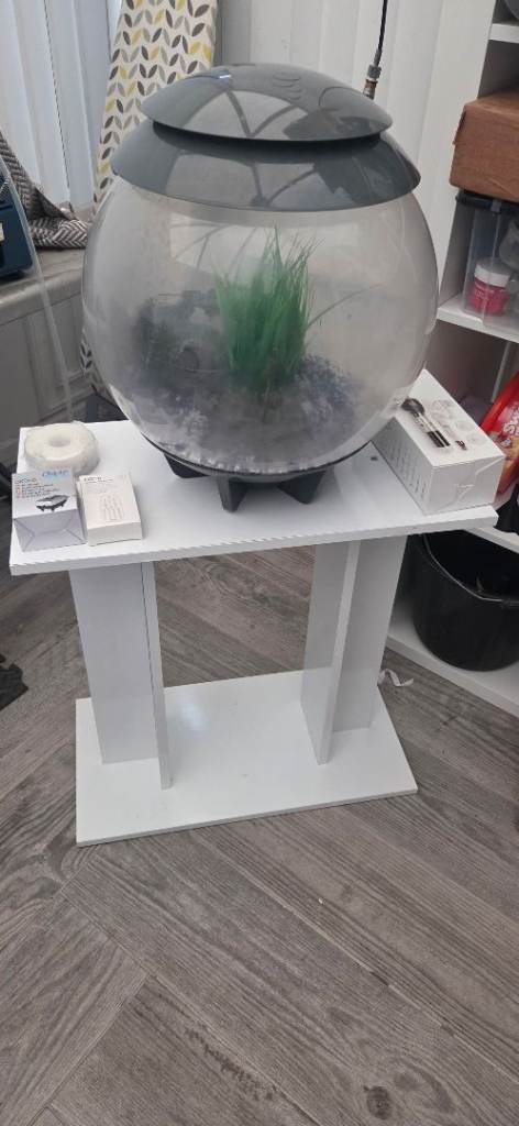 Biorb 30 aquarium with display stand