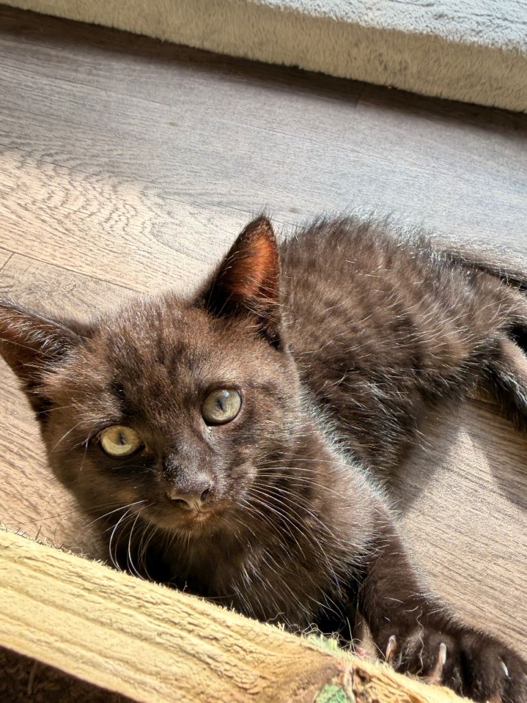 Last boy left looking for his new home 