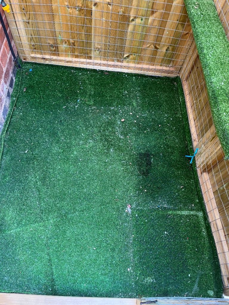 Catio with shutters