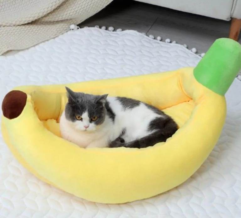Banana Cat Beds