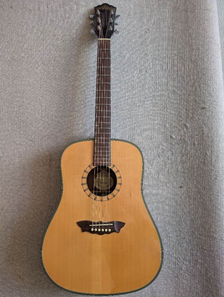 Washburn D46S with gigbag