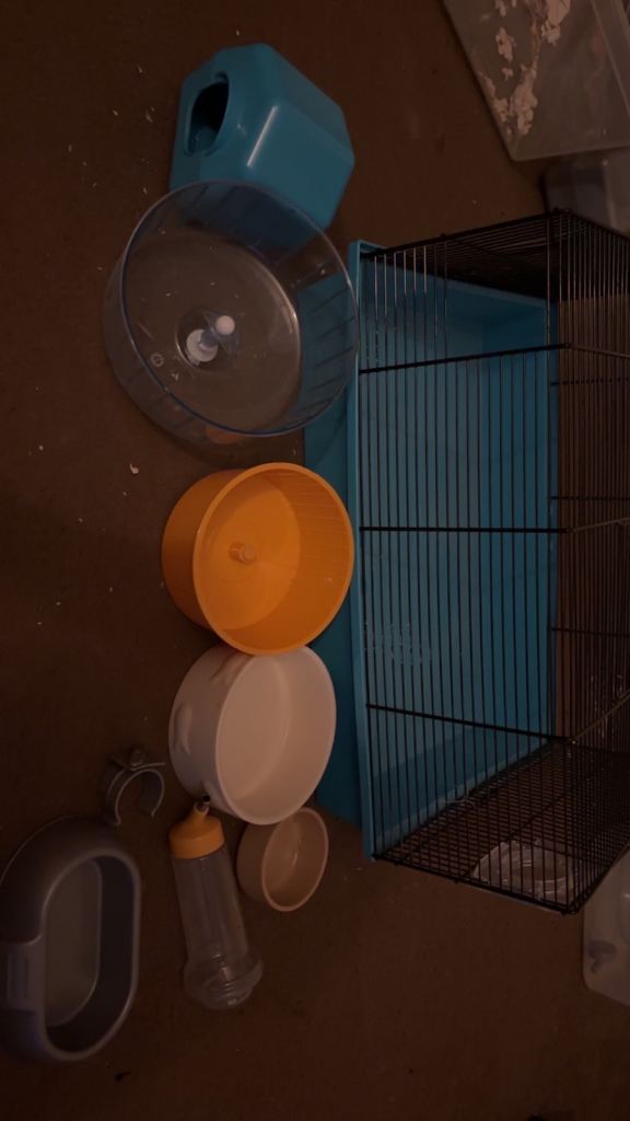 Hamster cage and accessories 