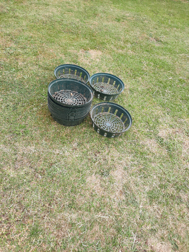 20 bulb baskets for planting bulbs