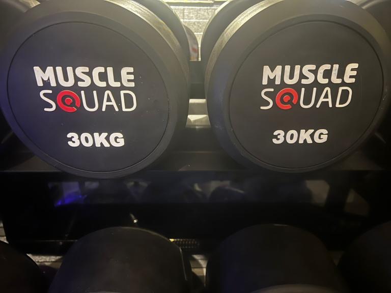 Weights Pair 30kg dumbbells like new 
