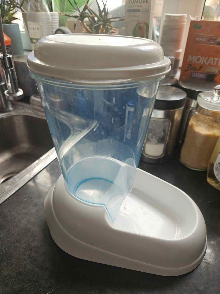 Cat or small dog dry food dispenser