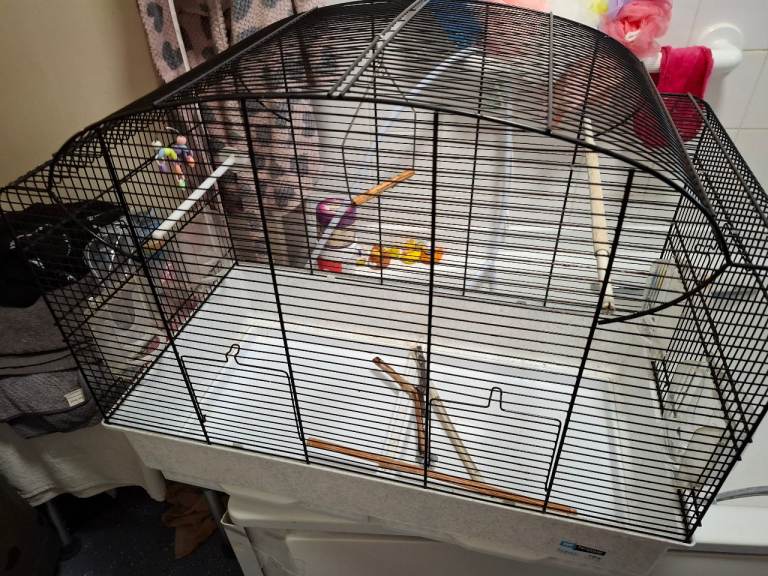 birds cage