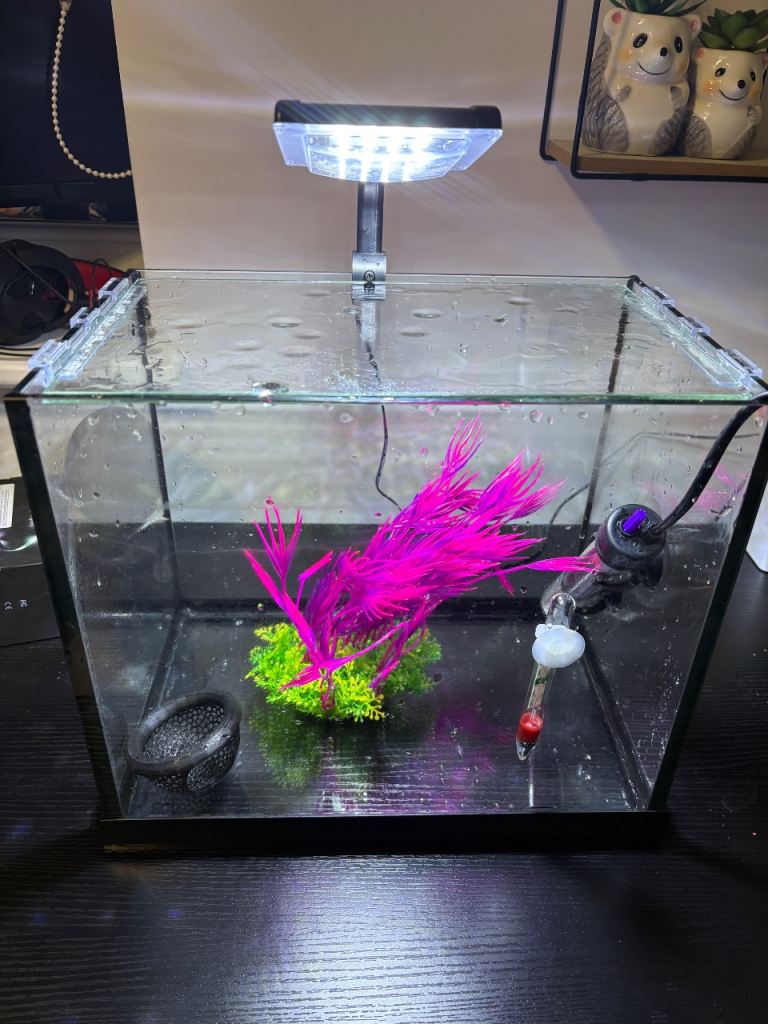 13L Small Betta Tank with Accessories