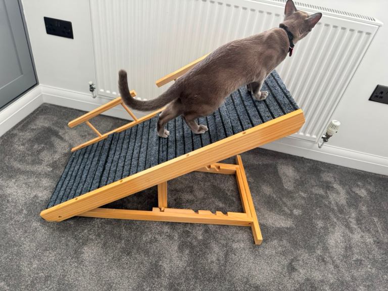 Cat/dog ramp