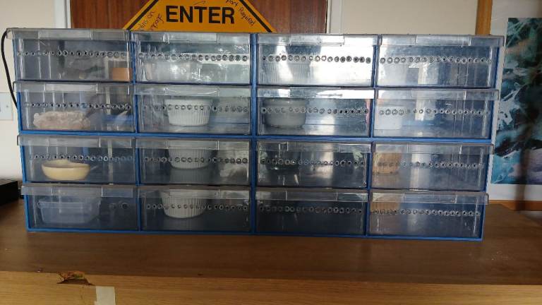 Large Reptile Rack System with 16 Vented Tubs and Heat Mat
