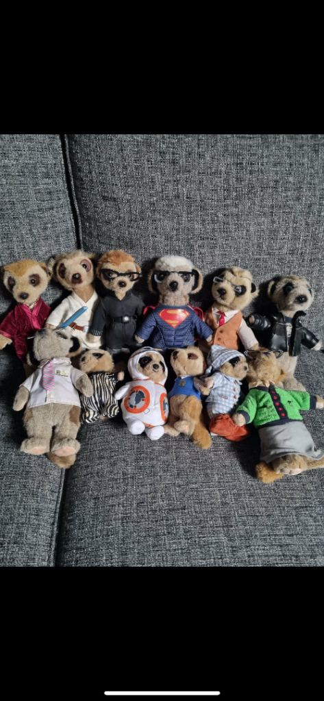 12 collectable Merkats  