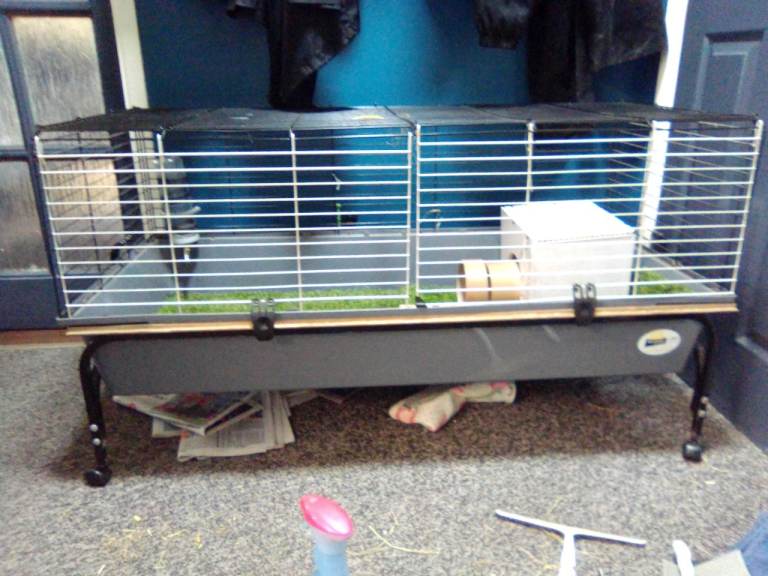 Indoor 2 tier Cage Guinea Pig gerbil etc