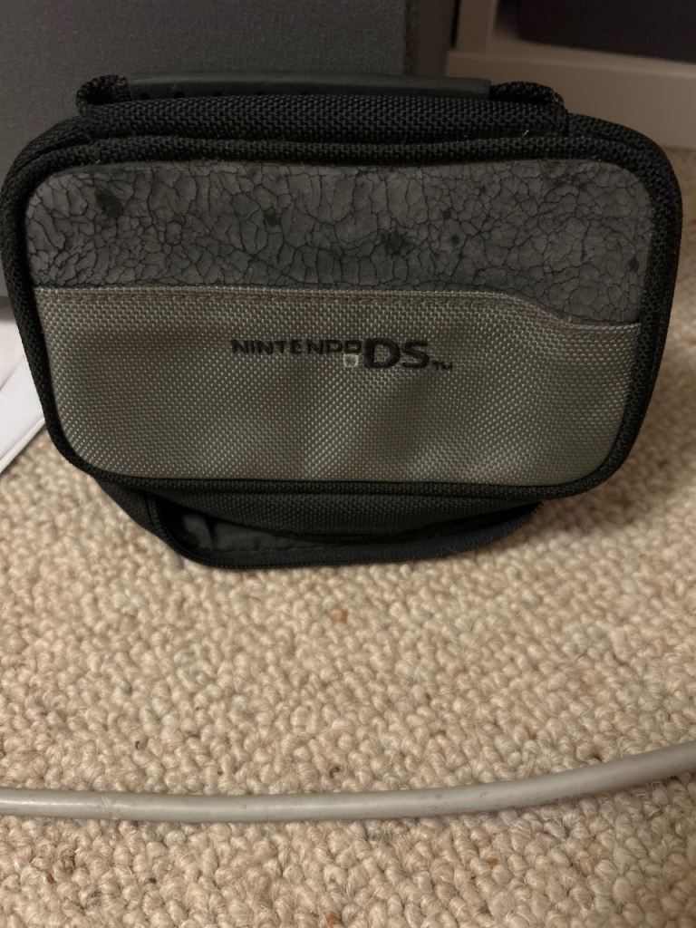 Nintendo ds case
