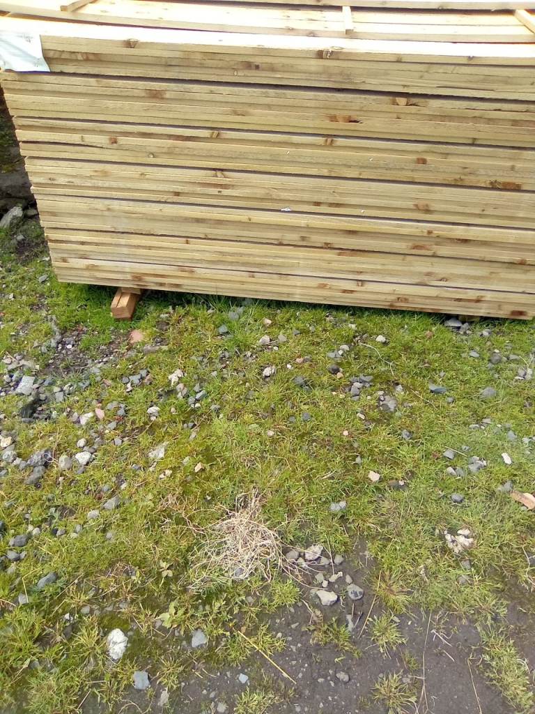 6foot fence slats treated 