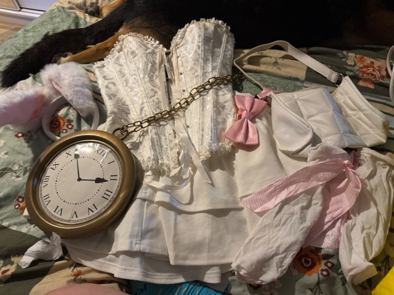 ALICE IN WONDERLAND THE BUNNY FIT AIZE 10