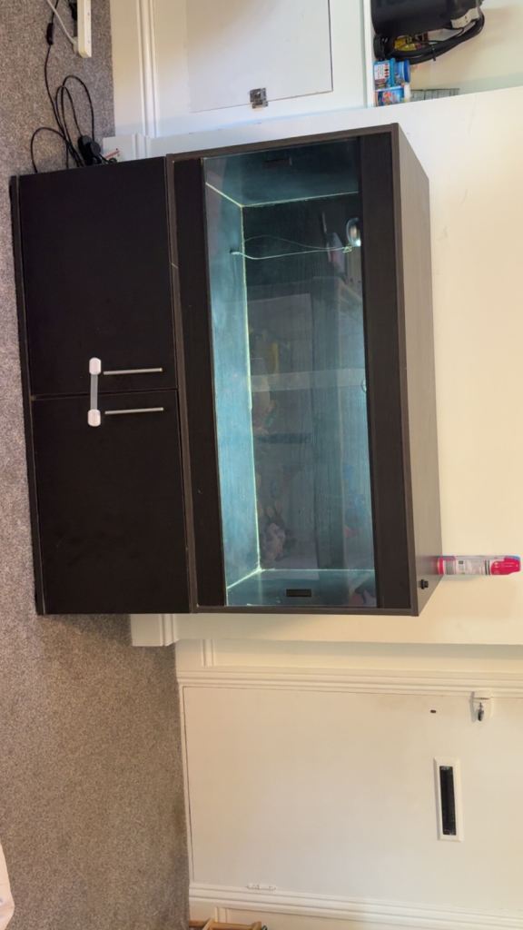 Vivarium with cabinet and with accessories 