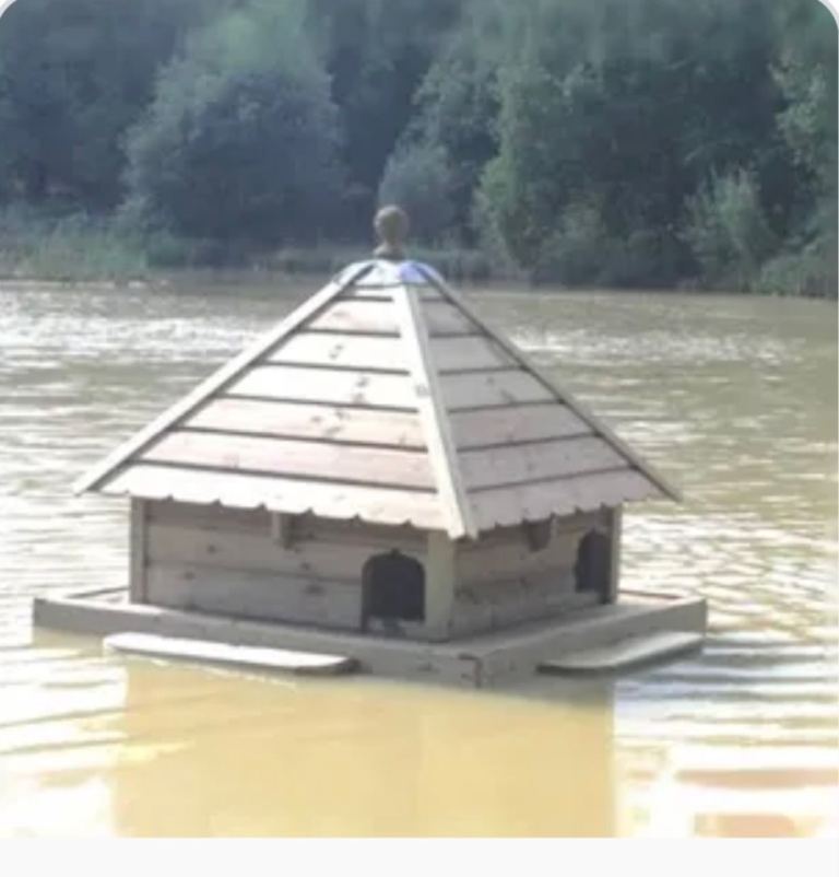 Floating Duck House