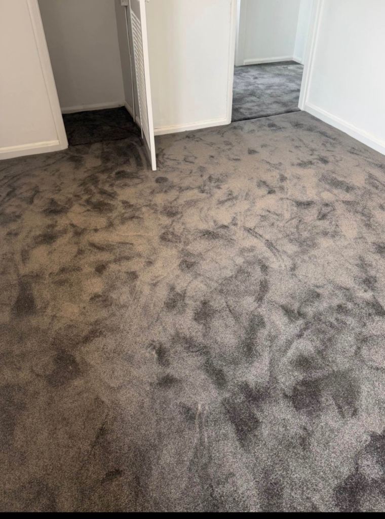 Professional Carpet Flooring Supply & Fitting | Expert Installatio
