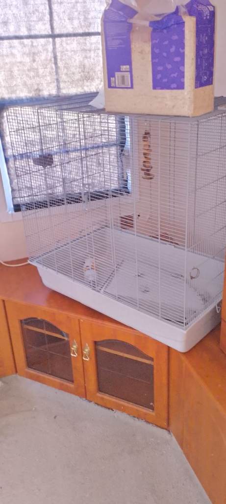 Large pet cage 