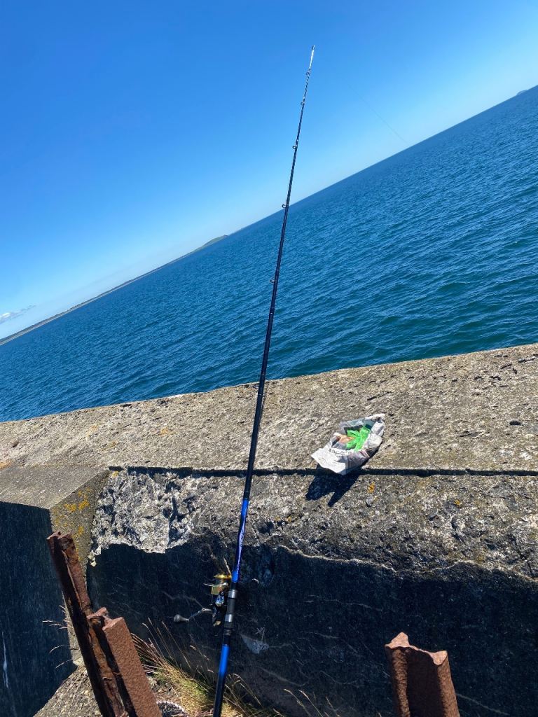12 ft fishing rod NO REAL shakespeare 