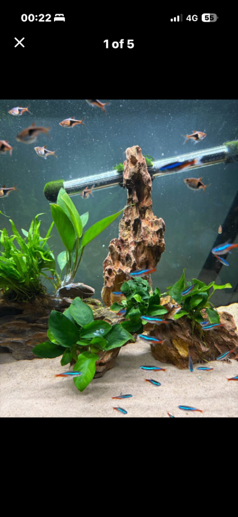 Tall premium dragon stone for fish tank aquarium 