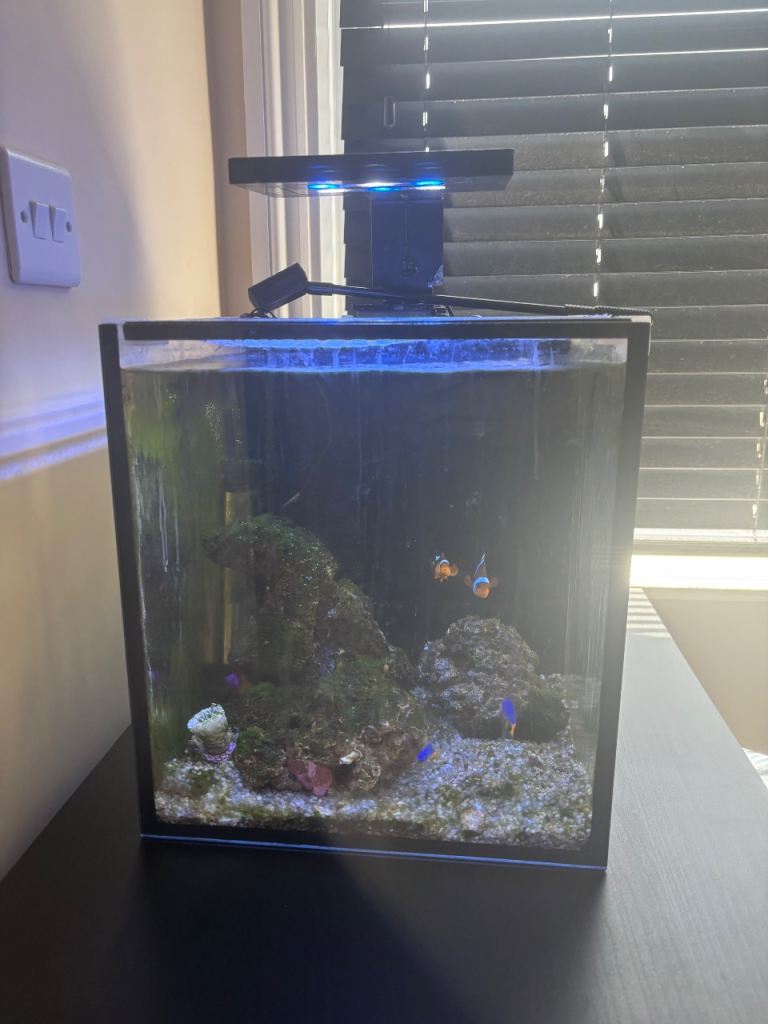 FishTank