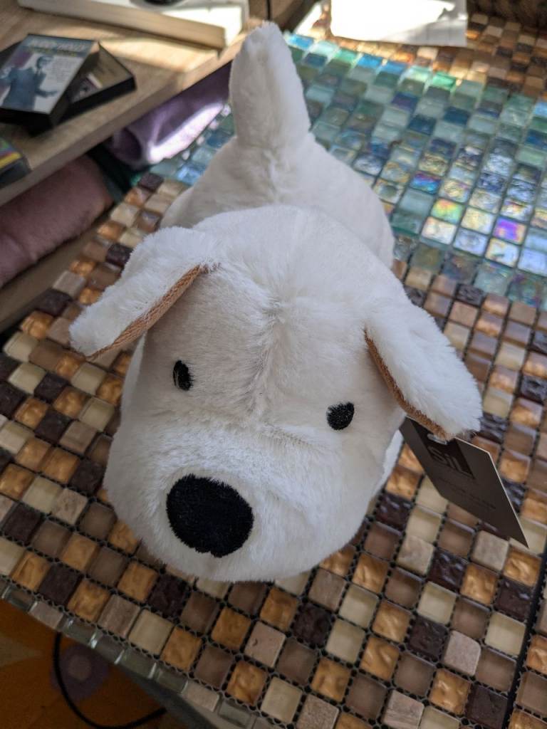 New fluffy white dog 