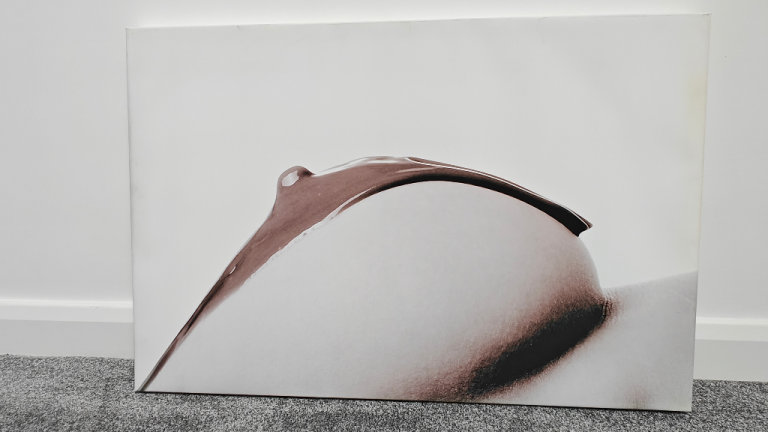 Erotic art