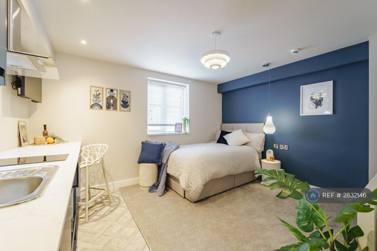Studio flat in Harcourt St, Derby, DE1 (#2832146)