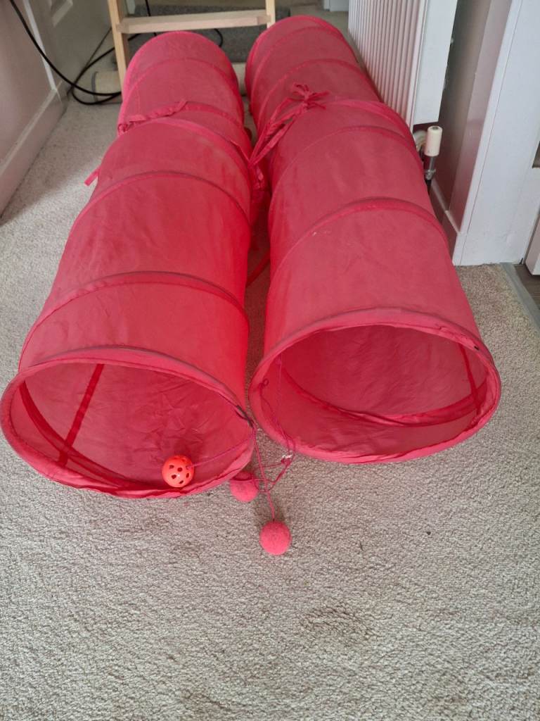 Cat Tunnels 