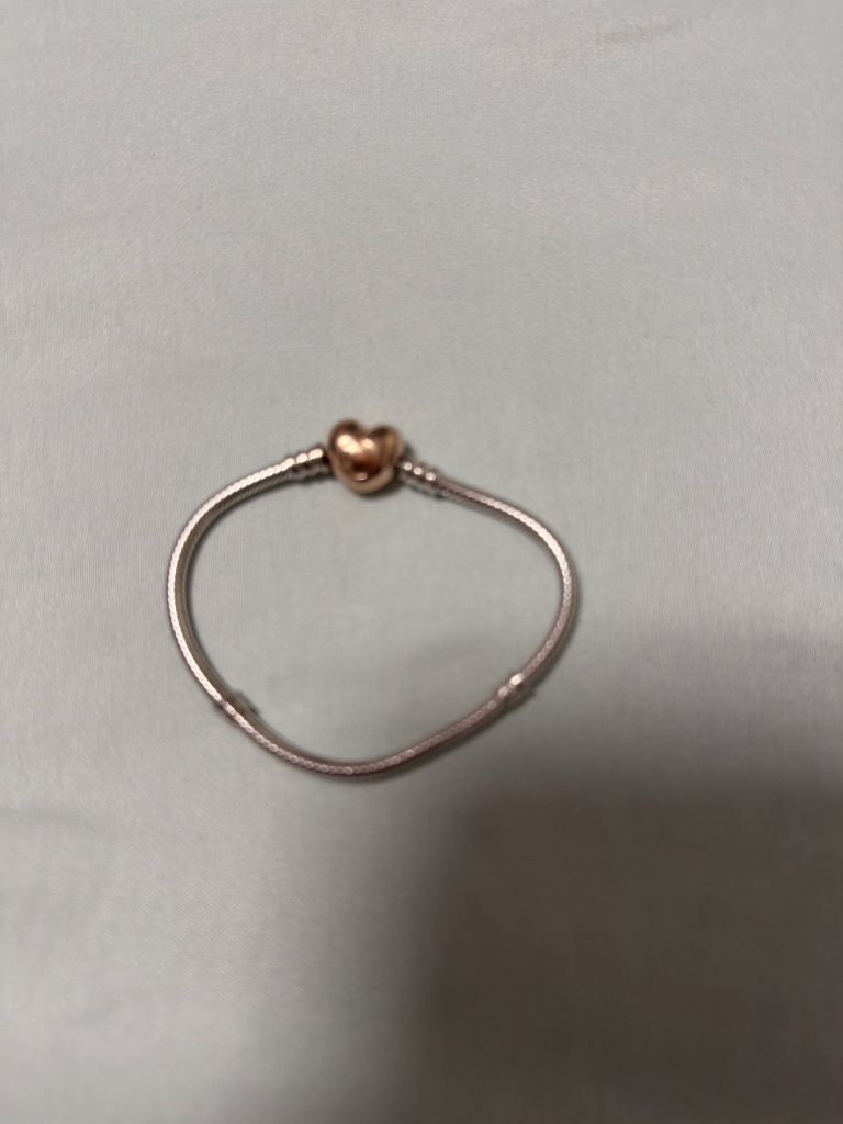Pandora Bracelet 