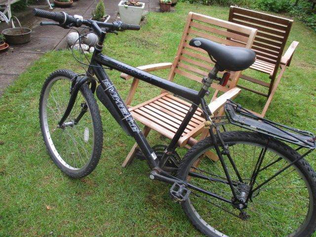 Adult Bike