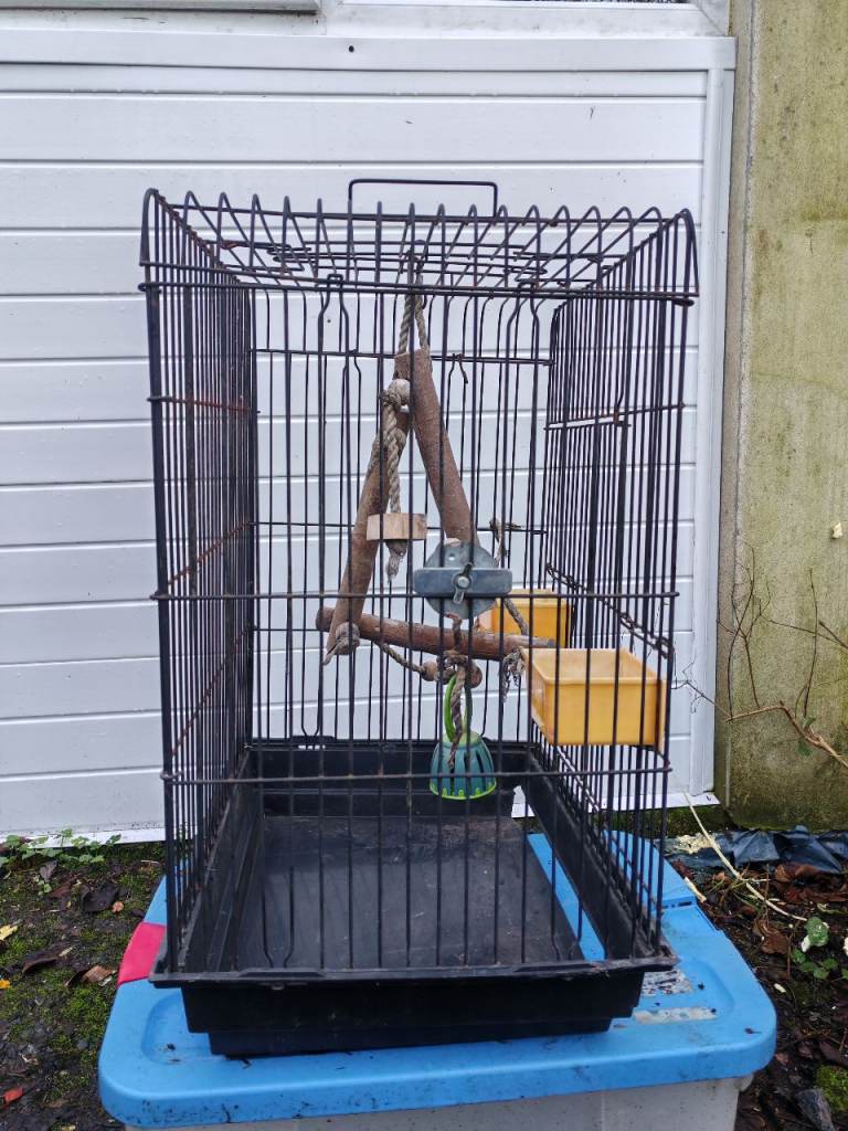 Bird cage 