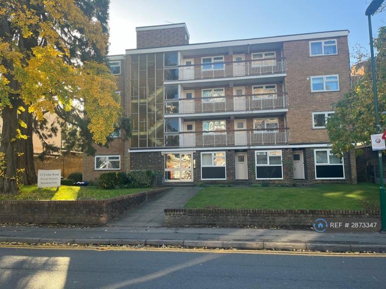 Studio flat in Cedar Road, Sutton, SM2 (#2873347)