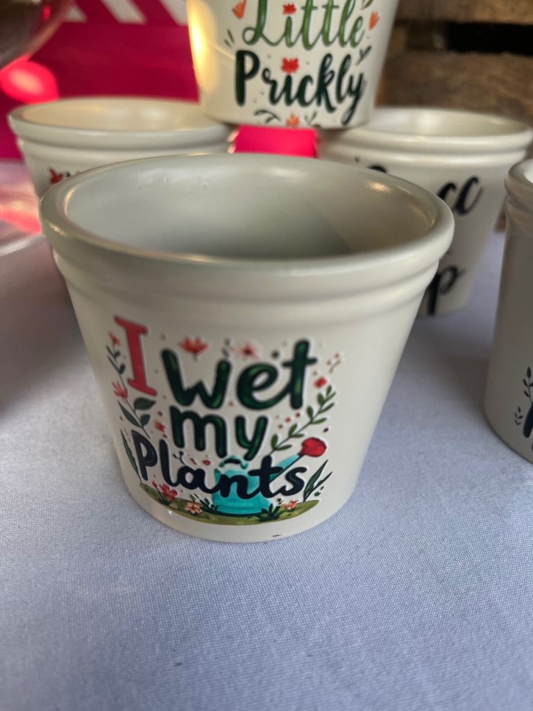Cute Ceramic Plant Pots with Sayings – As Good As New